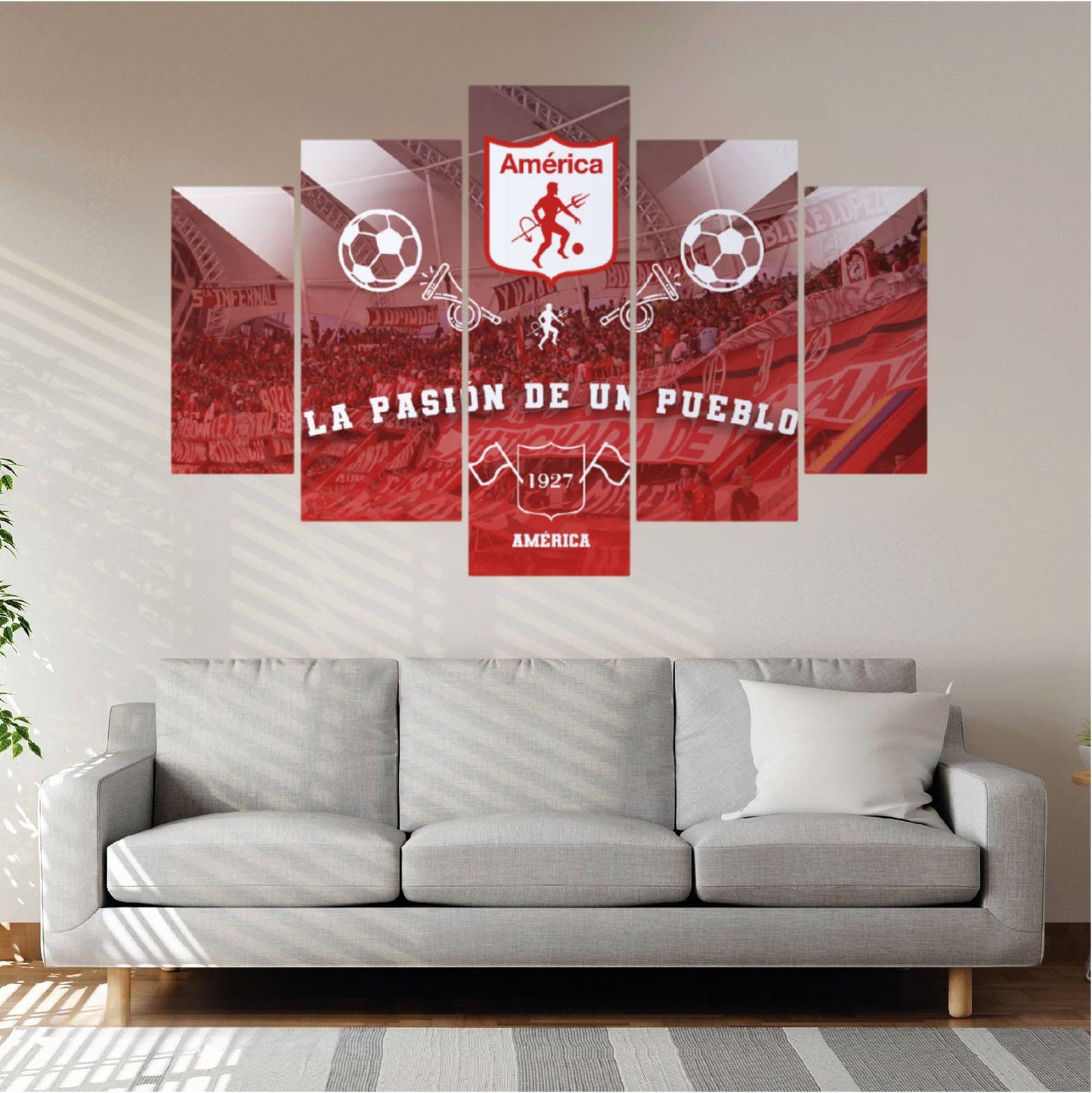 Cuadro Decorativo América de Cali